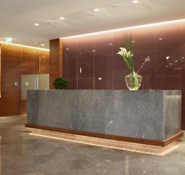 The Executive Council, L37, Emirates Towers
